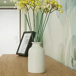 Apartamento La Coco Roma